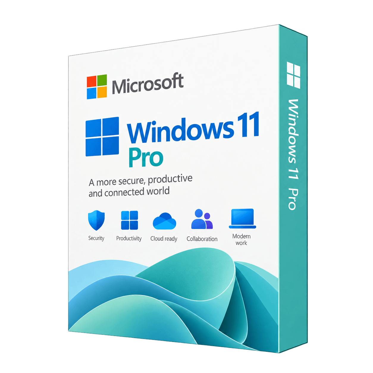 Windows 11 Pro