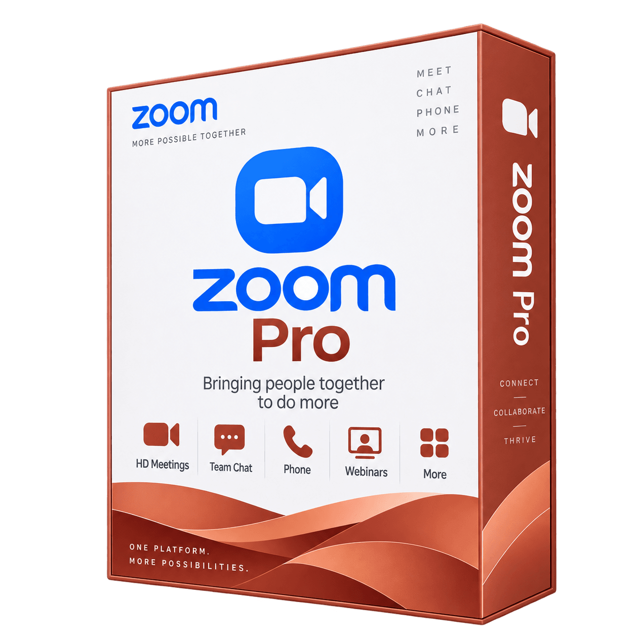 Zoom Pro